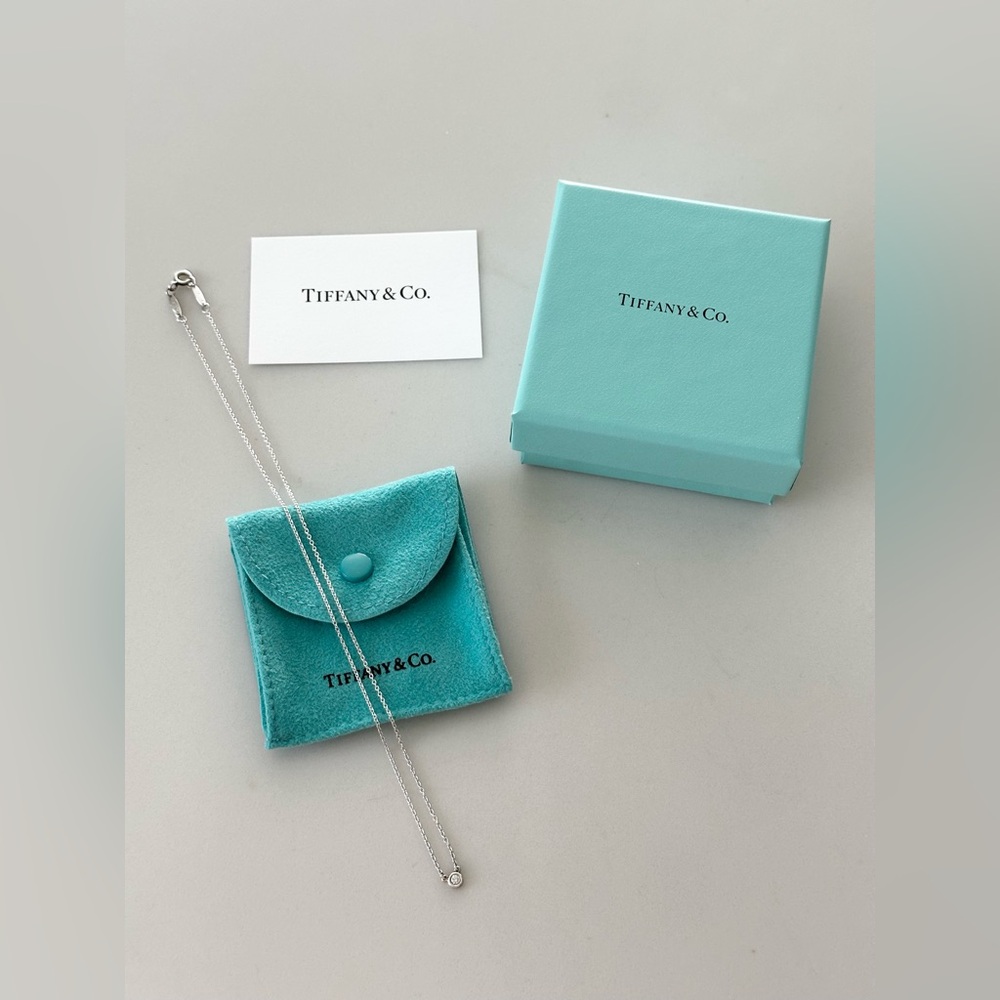 Tiffany & Co. Elsa Peretti Diamonds by the Yard Pendant in Silver 0.03 Ct